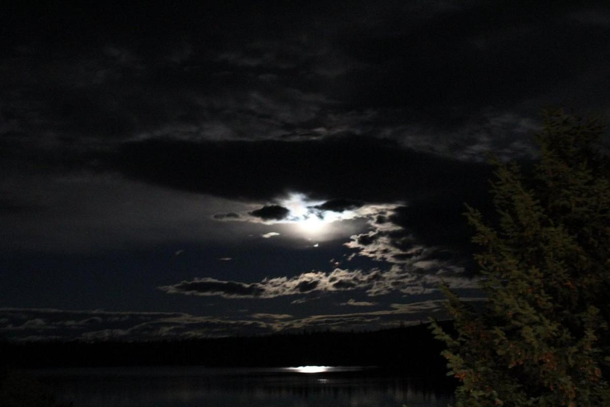 Lac Le Jeune Nature Resort Logan Lake Exterior photo